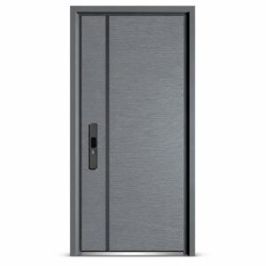 Standard single door